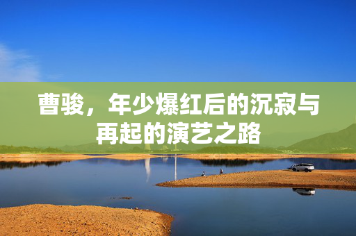 曹骏，年少爆红后的沉寂与再起的演艺之路