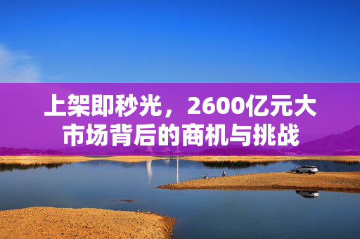 上架即秒光，2600亿元大市场背后的商机与挑战