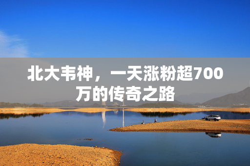 北大韦神，一天涨粉超700万的传奇之路