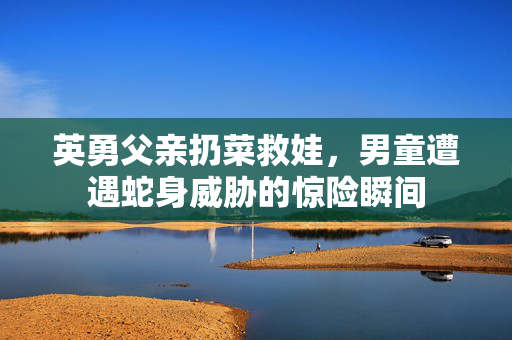 英勇父亲扔菜救娃，男童遭遇蛇身威胁的惊险瞬间
