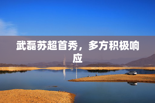 武磊苏超首秀，多方积极响应