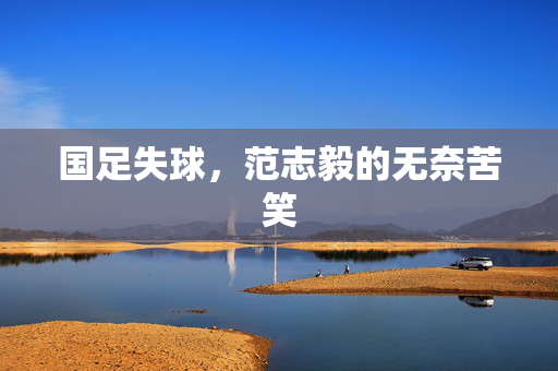 国足失球，范志毅的无奈苦笑