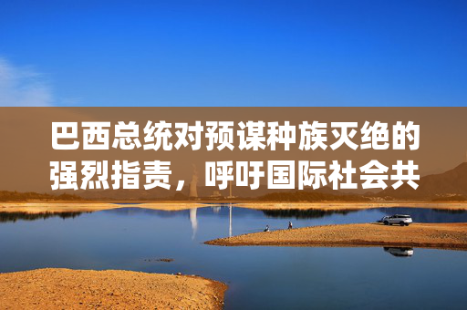 巴西总统对预谋种族灭绝的强烈指责，呼吁国际社会共同关注与行动