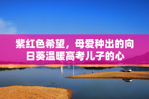 紫红色希望，母爱种出的向日葵温暖高考儿子的心