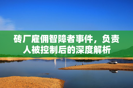 砖厂雇佣智障者事件，负责人被控制后的深度解析