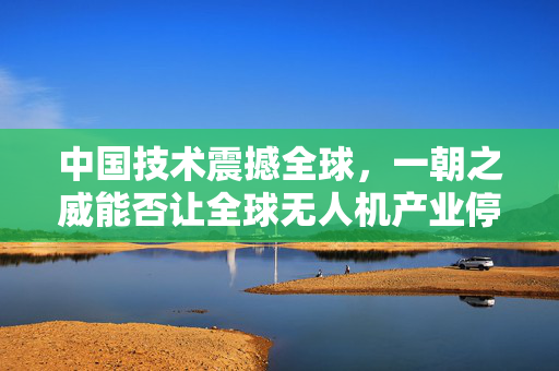 中国技术震撼全球，一朝之威能否让全球无人机产业停摆一年？