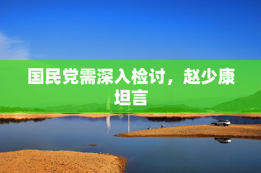 国民党需深入检讨，赵少康坦言