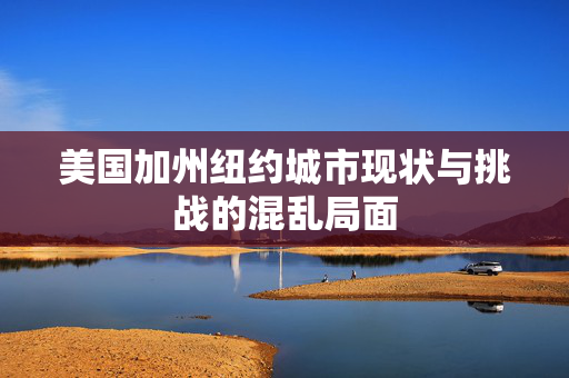 美国加州纽约城市现状与挑战的混乱局面