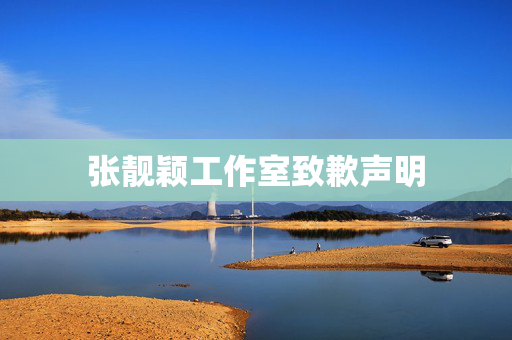 张靓颖工作室致歉声明