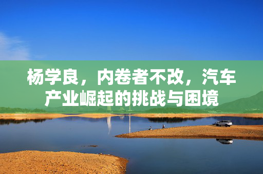 杨学良，内卷者不改，汽车产业崛起的挑战与困境