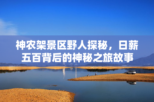 神农架景区野人探秘，日薪五百背后的神秘之旅故事