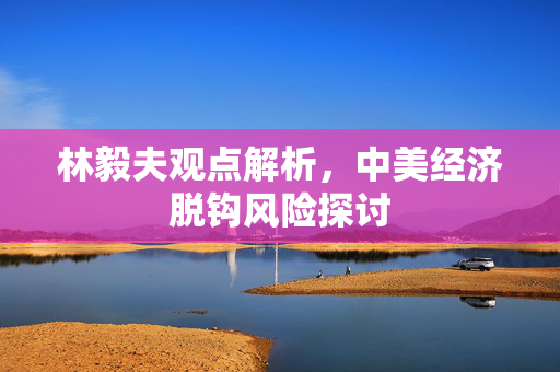林毅夫观点解析，中美经济脱钩风险探讨