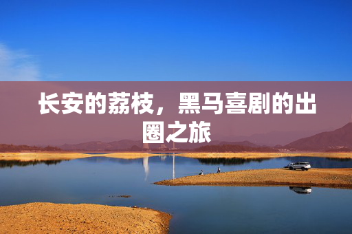 长安的荔枝，黑马喜剧的出圈之旅