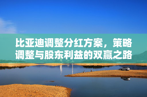 比亚迪调整分红方案，策略调整与股东利益的双赢之路