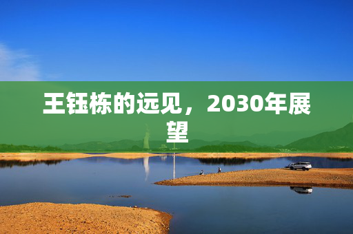 王钰栋的远见，2030年展望