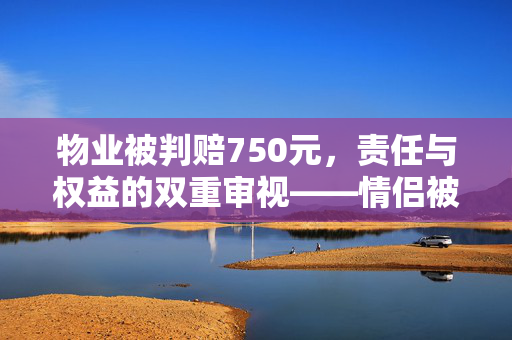 物业被判赔750元，责任与权益的双重审视——情侣被困电梯误机事件分析