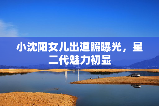 小沈阳女儿出道照曝光，星二代魅力初显