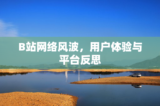B站网络风波，用户体验与平台反思
