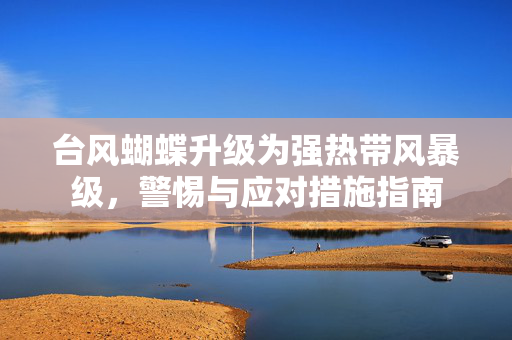台风蝴蝶升级为强热带风暴级，警惕与应对措施指南
