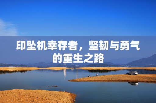 印坠机幸存者，坚韧与勇气的重生之路