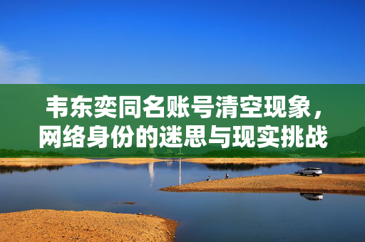 韦东奕同名账号清空现象，网络身份的迷思与现实挑战