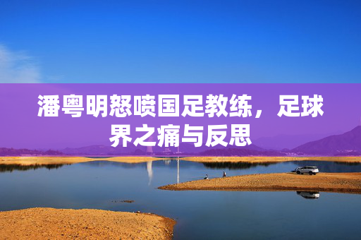 潘粤明怒喷国足教练，足球界之痛与反思