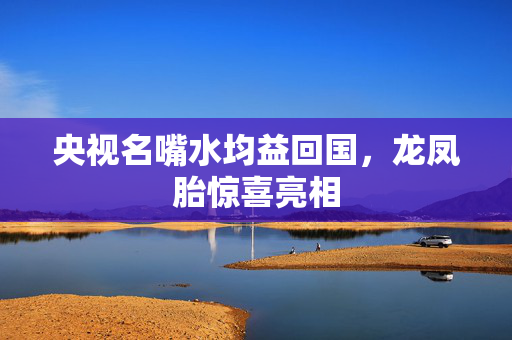 央视名嘴水均益回国，龙凤胎惊喜亮相