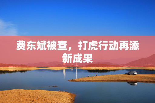 费东斌被查，打虎行动再添新成果