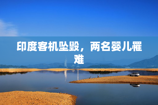 印度客机坠毁，两名婴儿罹难