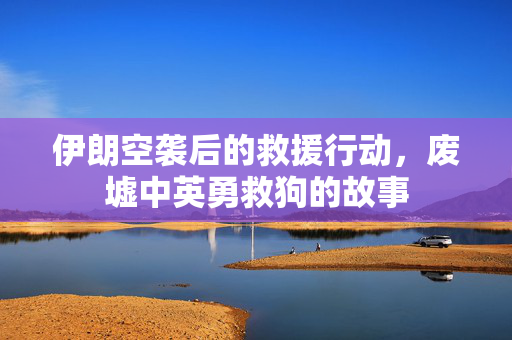 伊朗空袭后的救援行动，废墟中英勇救狗的故事