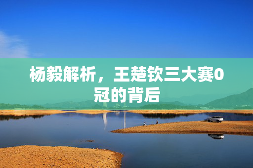 杨毅解析，王楚钦三大赛0冠的背后
