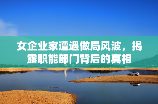 女企业家遭遇做局风波，揭露职能部门背后的真相
