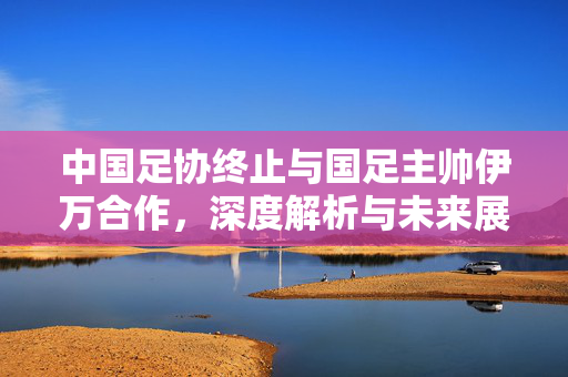 中国足协终止与国足主帅伊万合作，深度解析与未来展望