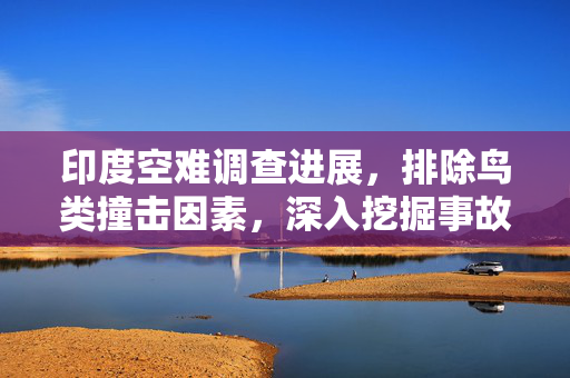 印度空难调查进展，排除鸟类撞击因素，深入挖掘事故原因