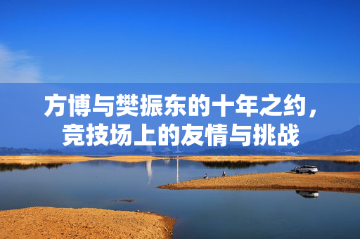 方博与樊振东的十年之约，竞技场上的友情与挑战