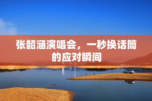 张韶涵演唱会，一秒换话筒的应对瞬间