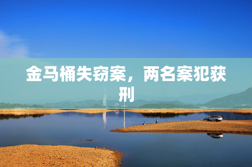 金马桶失窃案，两名案犯获刑