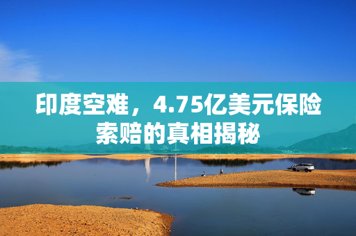 印度空难，4.75亿美元保险索赔的真相揭秘