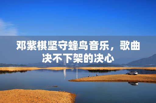 邓紫棋坚守蜂鸟音乐，歌曲决不下架的决心