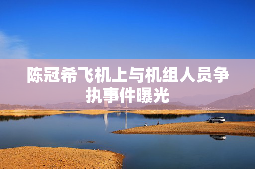 陈冠希飞机上与机组人员争执事件曝光