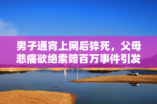 男子通宵上网后猝死，父母悲痛欲绝索赔百万事件引发关注
