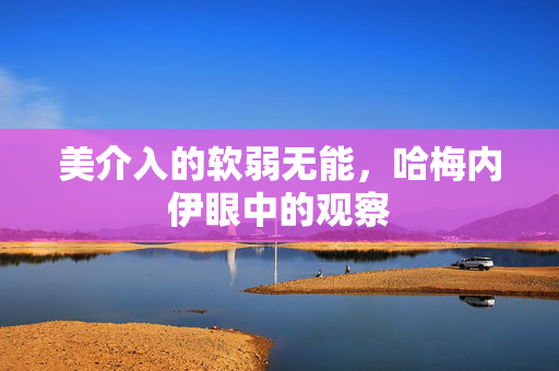 美介入的软弱无能，哈梅内伊眼中的观察