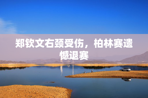 郑钦文右颈受伤，柏林赛遗憾退赛
