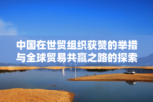 中国在世贸组织获赞的举措与全球贸易共赢之路的探索
