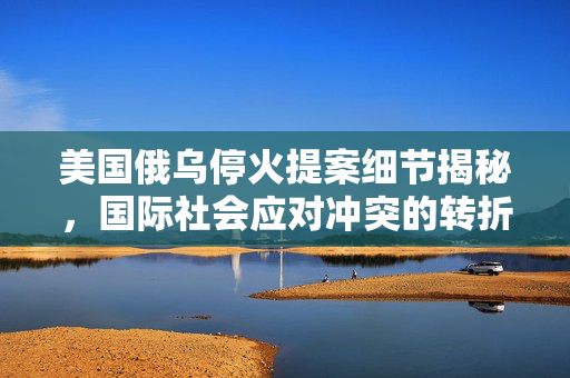 美国俄乌停火提案细节揭秘，国际社会应对冲突的转折点