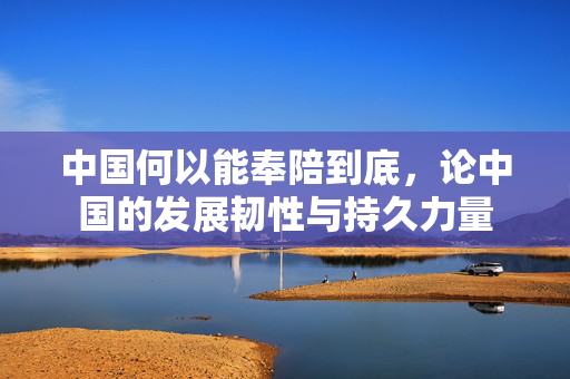 中国何以能奉陪到底，论中国的发展韧性与持久力量