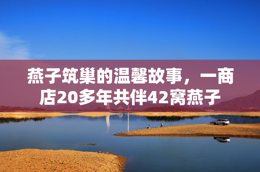 燕子筑巢的温馨故事，一商店20多年共伴42窝燕子