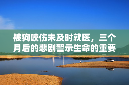 被狗咬伤未及时就医，三个月后的悲剧警示生命的重要性