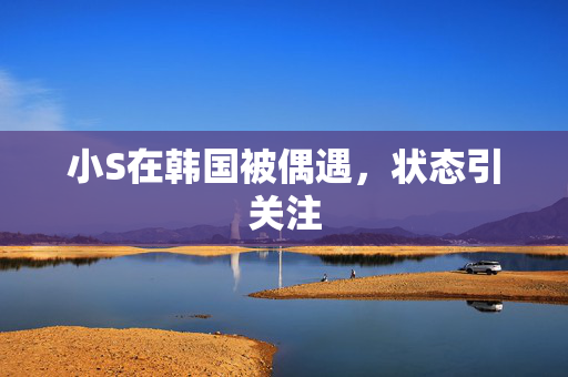 小S在韩国被偶遇，状态引关注