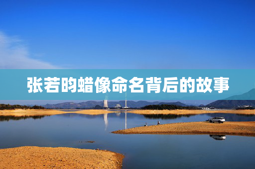 张若昀蜡像命名背后的故事